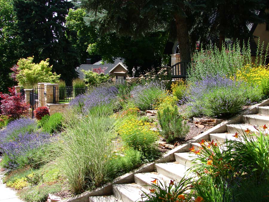 Embrace Sustainability: Exploring the Benefits of Xeriscaping with Top Cut Landscaping