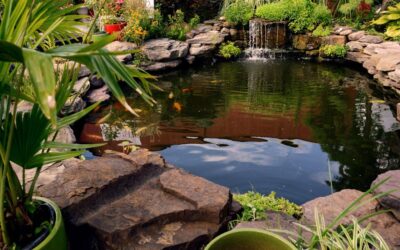 Top Tips for Maintaining a Pristine Pond with Top Cut Landscaping