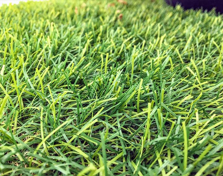 Best Artificial Turf work in Arvada, CO yard