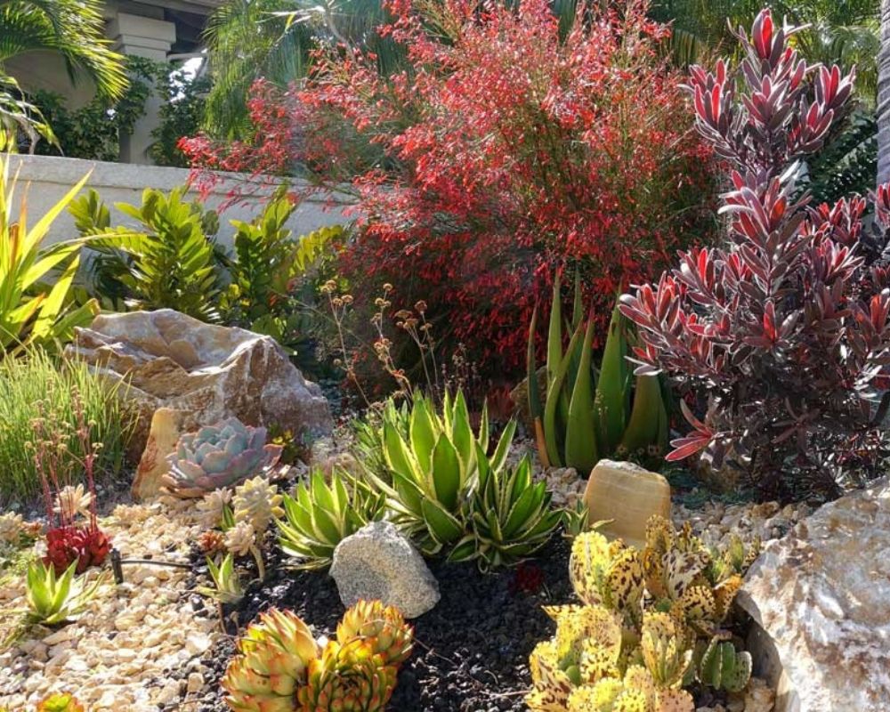 Xeriscaping service landscape design in Broomfield CO